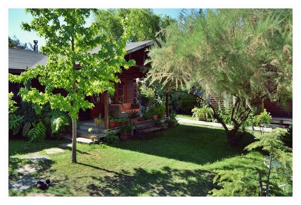 Fotografía 14 de Stella Bordestero en Talca, Maule