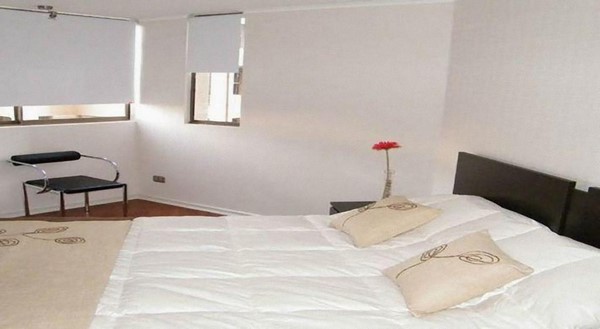 Fotografía 11 de Santiago Suite Apartment en Santiago, Metropolitana