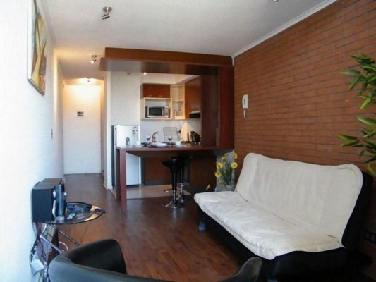 Fotografía 10 de Santiago Suite Apartment en Santiago, Metropolitana