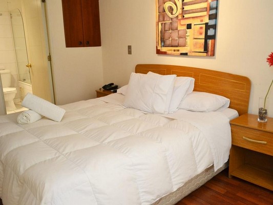 Fotografía 12 de Santiago Suite Apartment en Santiago, Metropolitana