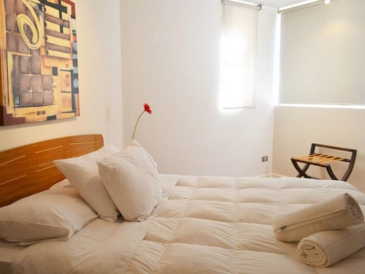 Fotografía 13 de Santiago Suite Apartment en Santiago, Metropolitana