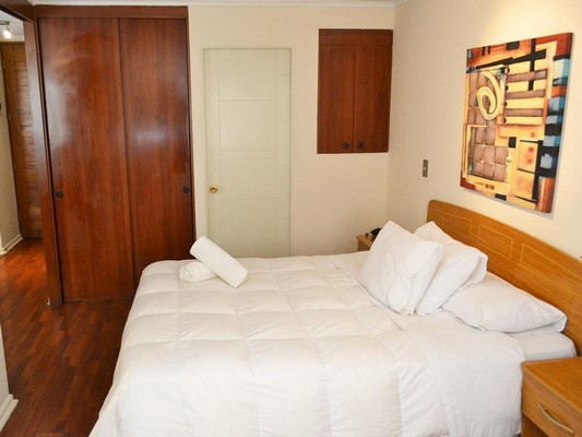 Fotografía 14 de Santiago Suite Apartment en Santiago, Metropolitana