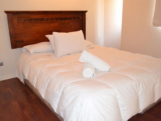 Fotografía 17 de Santiago Suite Apartment en Santiago, Metropolitana