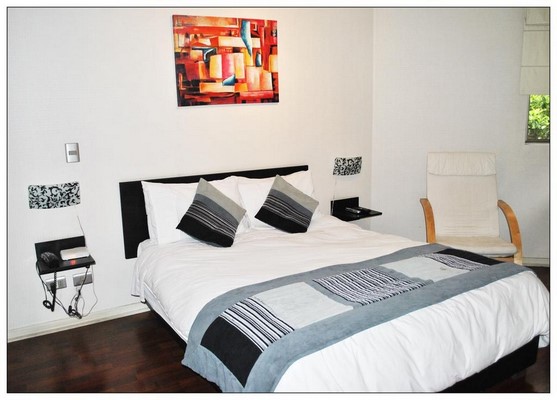 Fotografía 19 de Santiago Suite Apartment en Santiago, Metropolitana