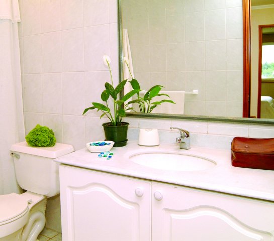 Fotografía 3 de Apart Hotel Carampangue en Valdivia, Los Rios