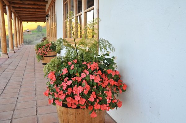 Fotografía 11 de B&B La Casona De Lolol en Lolol, Ohiggins