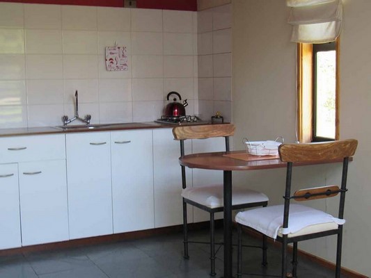 Fotografía 8 de Apart Hotel Dos Castaños en Pucon, Araucania
