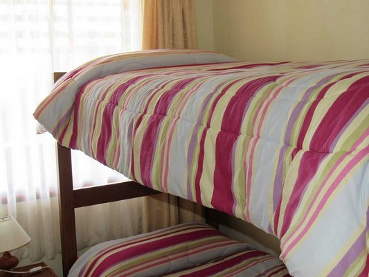 Fotografía 14 de Apart Hotel Dos Castaños en Pucon, Araucania