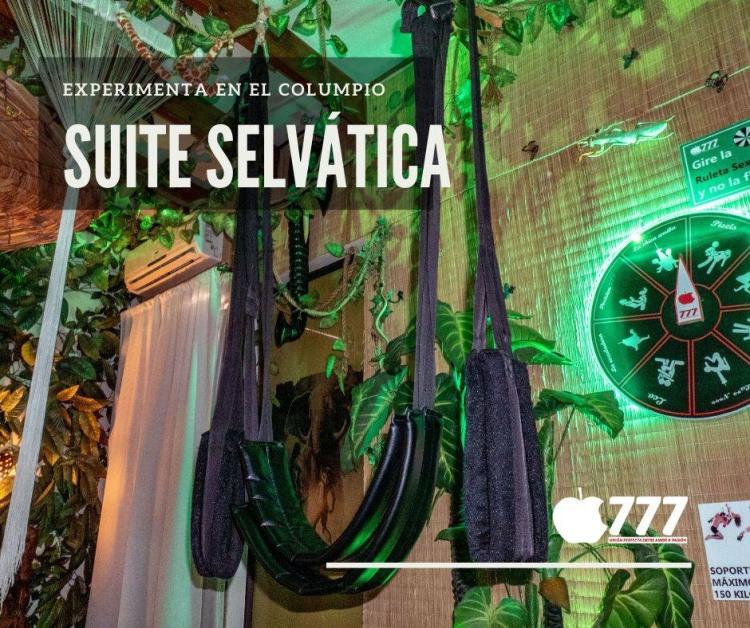 Fotografía 2 de Motel 777 en San Miguel, Metropolitana