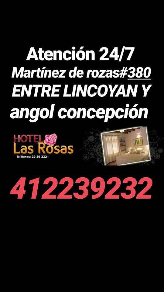 Fotografía 10 de Hotel Las Rosas en Concepcion, Bio Bio