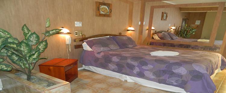 Fotografía 11 de Motel Teja en Punta Arenas, Magallanes