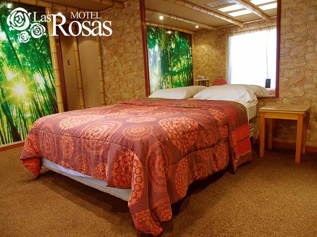 Fotografía 7 de Motel Las Rosas en La Granja, Metropolitana