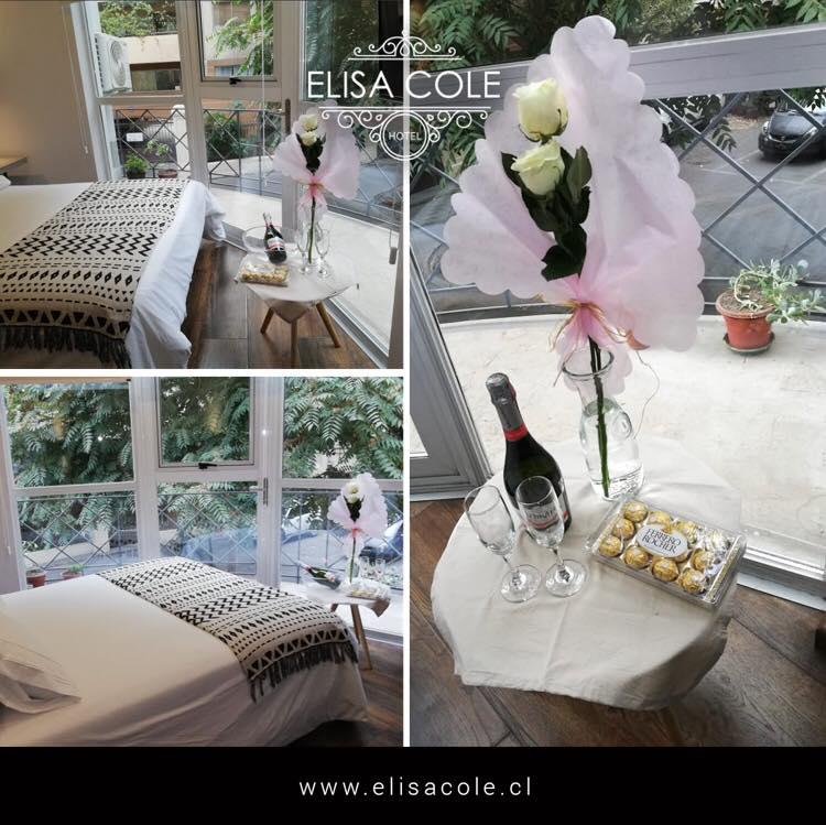 Fotografía 6 de Hotel Elisa Cole en Santiago, Metropolitana
