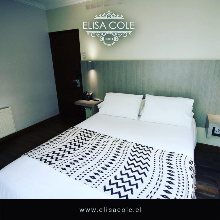 Fotografía 7 de Hotel Elisa Cole en Santiago, Metropolitana