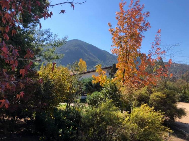 Fotografía 16 de B&B Bellavista de Colchagua en Santa Cruz, Ohiggins