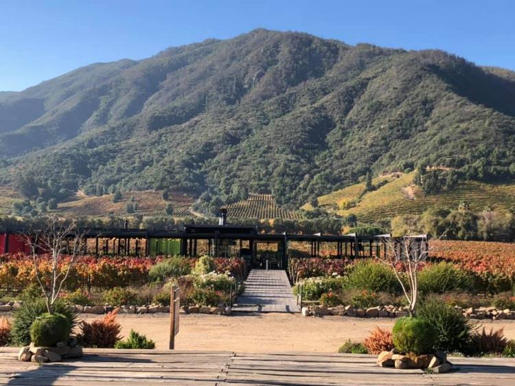 Fotografía 19 de B&B Bellavista de Colchagua en Santa Cruz, Ohiggins