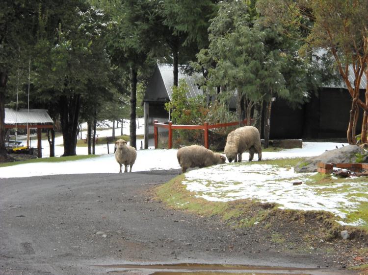 Fotografía 18 de Cabañas Huechuntu Pucón en Pucon, Araucania