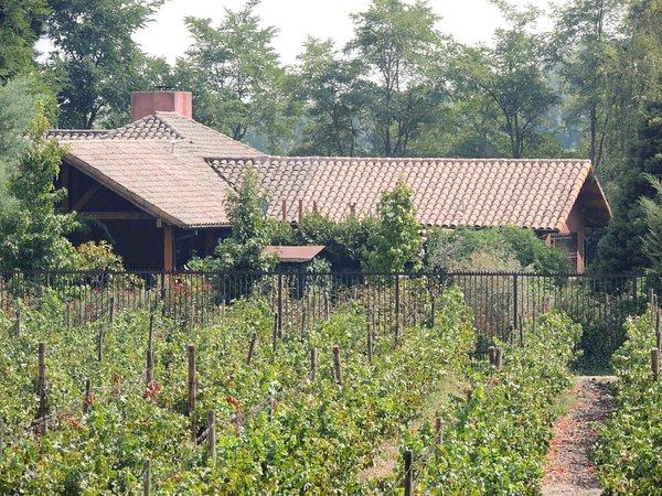 Fotografía 3 de Casa De Huespedes Viña Miguel Torres en Curico, Maule