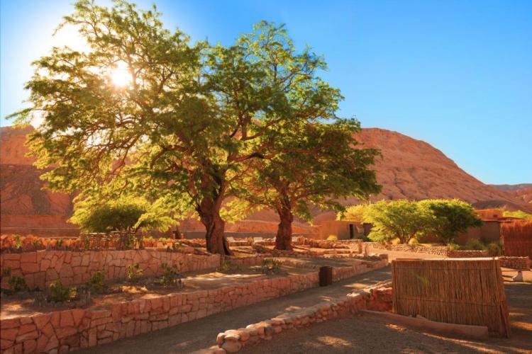 Fotografía 8 de Nayara Alto Atacama en San Pedro De Atacama, Antofagasta