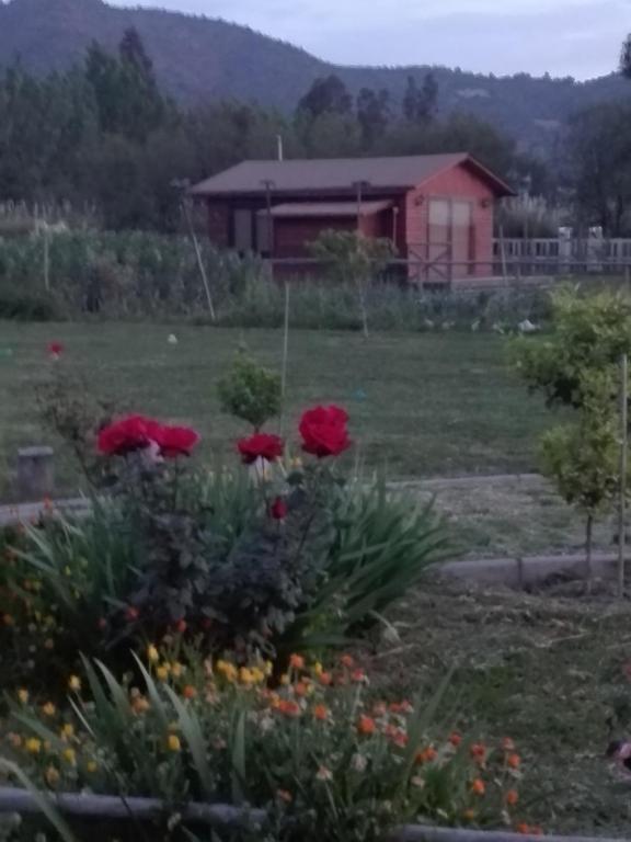 Fotografía 11 de Cabaña amor con piscina en Isla De Maipo, Metropolitana