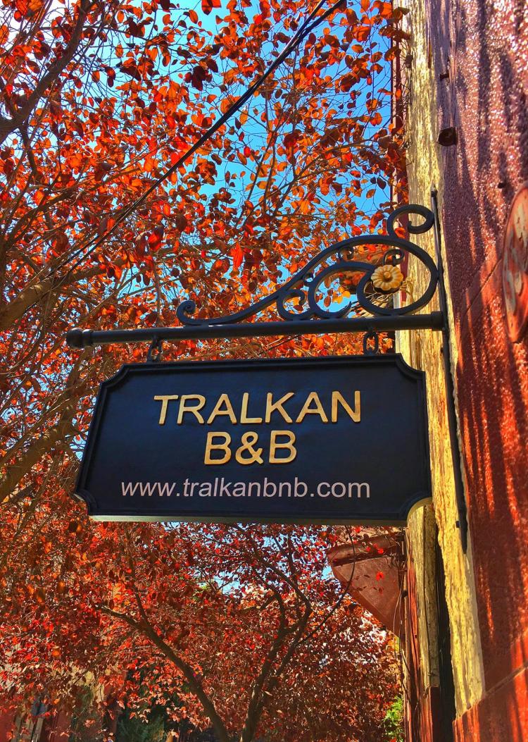 Fotografía 17 de Tralkan B&B en Providencia, Metropolitana