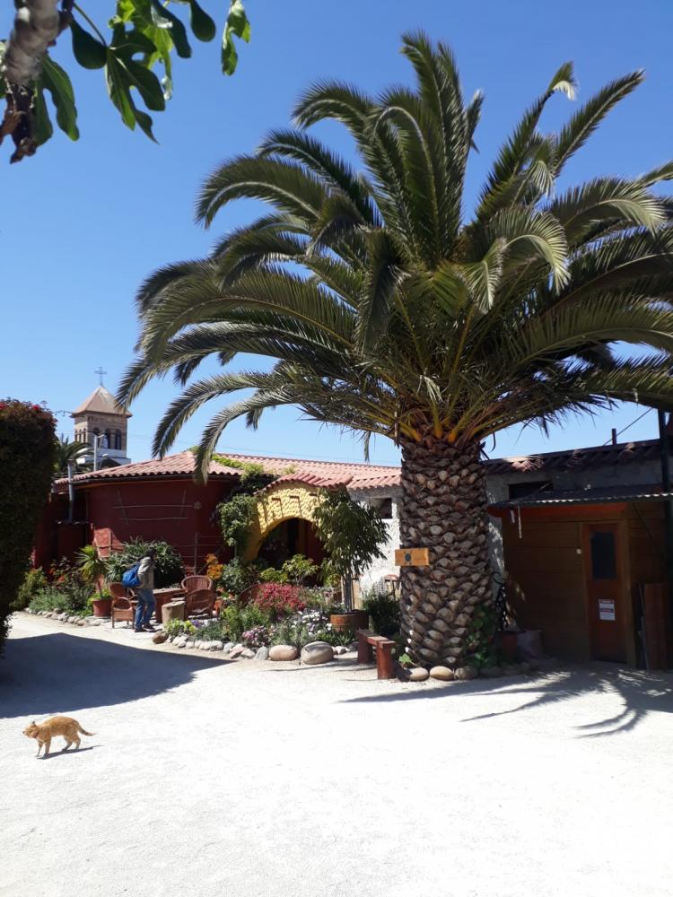 Fotografía 9 de Hostal El Punto en La Serena, Coquimbo