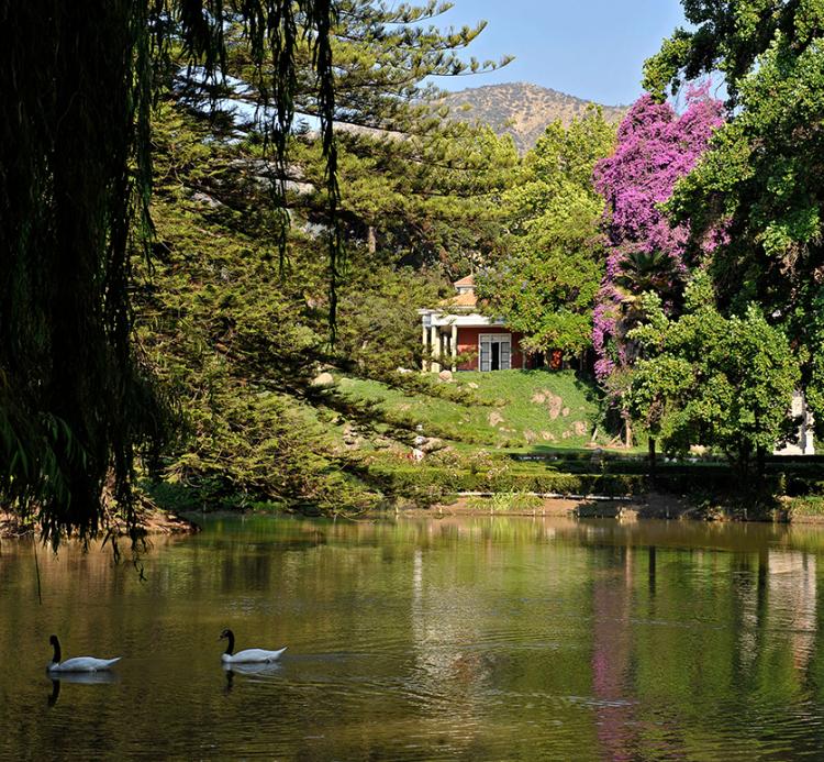 Fotografía 13 de Hotel Casa Real-Viña Santa Rita en Buin, Metropolitana
