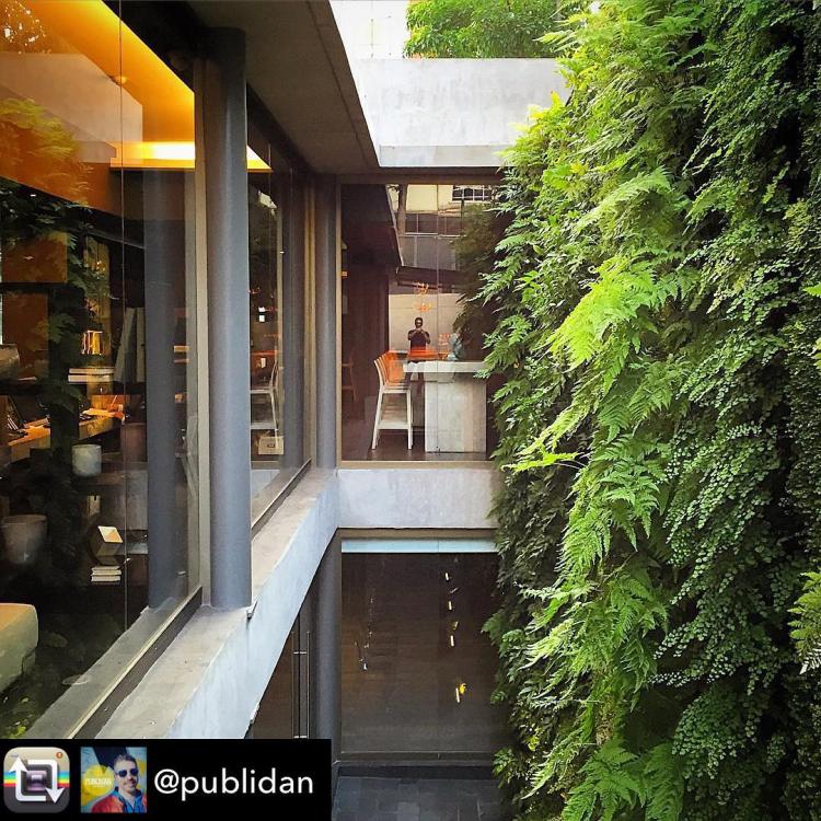 Fotografía 14 de Solace Hotel Santiago en Providencia, Metropolitana