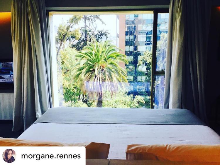 Fotografía 15 de Solace Hotel Santiago en Providencia, Metropolitana